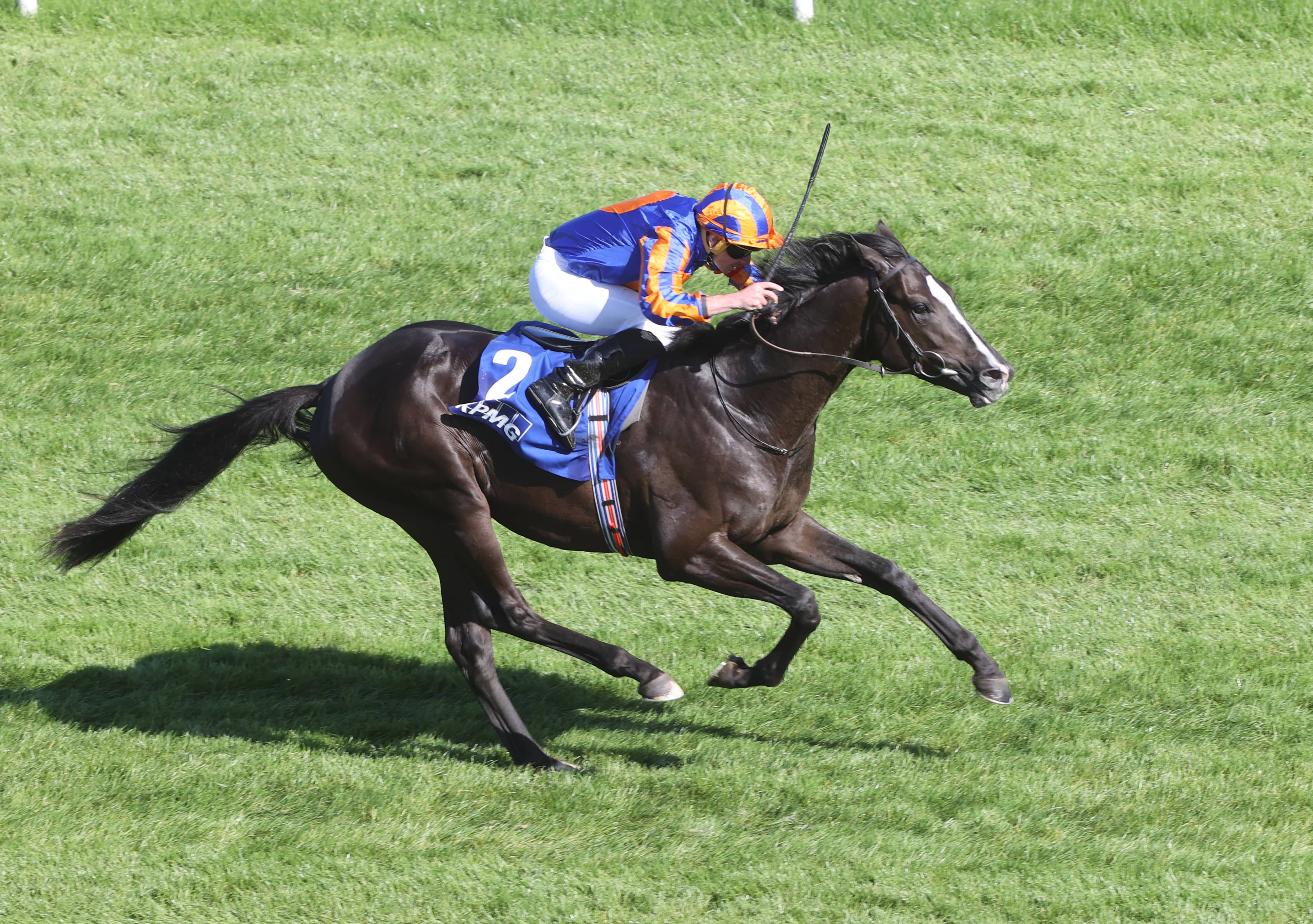 Champions Weekend Day 1 Leopardstown 